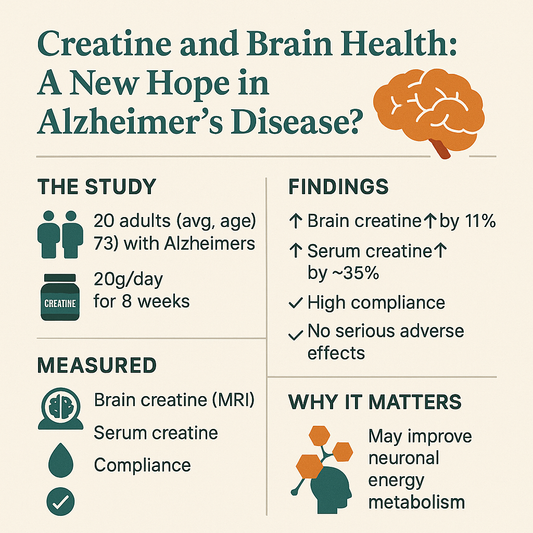 Creatine and Brain Health: A New Hope in Alzheimer’s Disease?