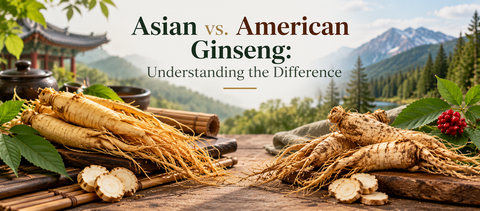 Asian vs. American Ginseng: Understanding the Difference