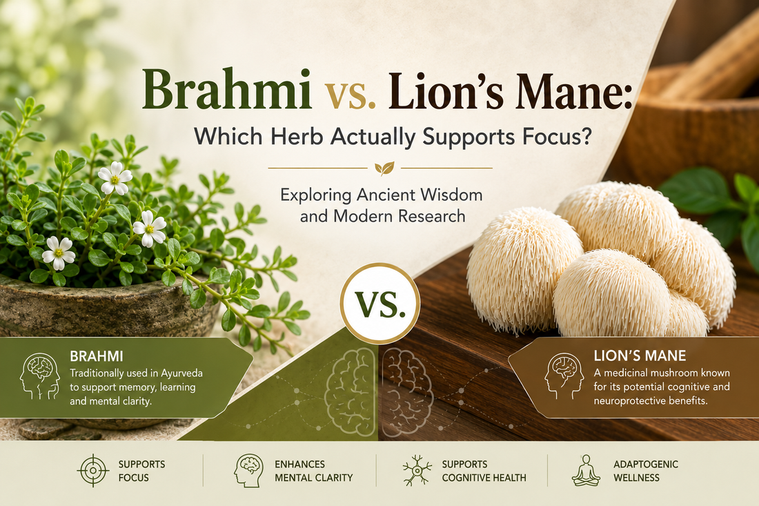 Brahmi vs. Lion's Mane: Which Herb Actually Supports Focus?
