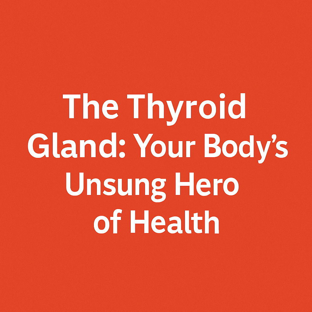 The Thyroid Gland: Your Body’s Unsung Hero of Health