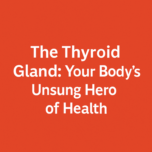 The Thyroid Gland: Your Body’s Unsung Hero of Health