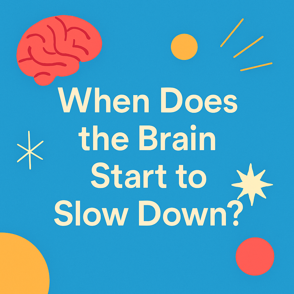 🧠 When Does the Brain Start to Slow Down? Science Reveals the Tipping ...