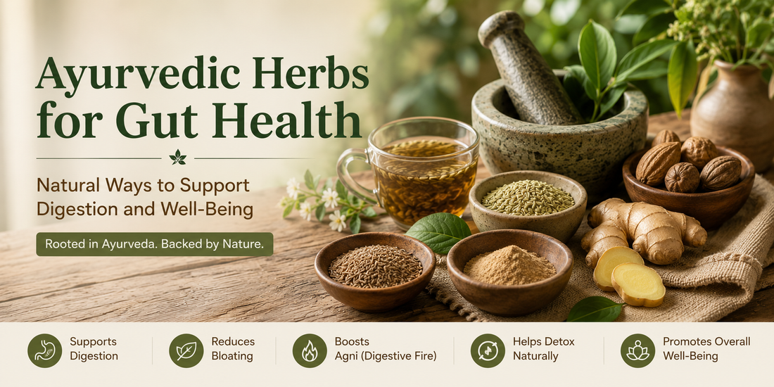 Gut Health 101: How Ayurvedic Herbs Support