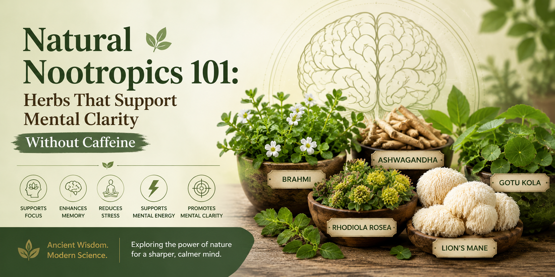 Natural Nootropics 101: Herbs That Support Mental Clarity Without Caffeine