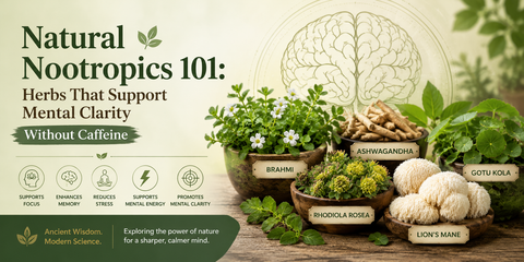 Natural Nootropics 101: Herbs That Support Mental Clarity Without Caffeine