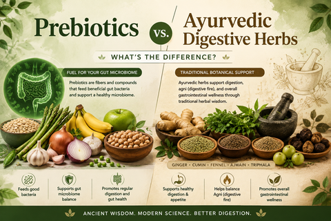 Prebiotics vs. Ayurvedic Digestive Herbs: What's the Difference?