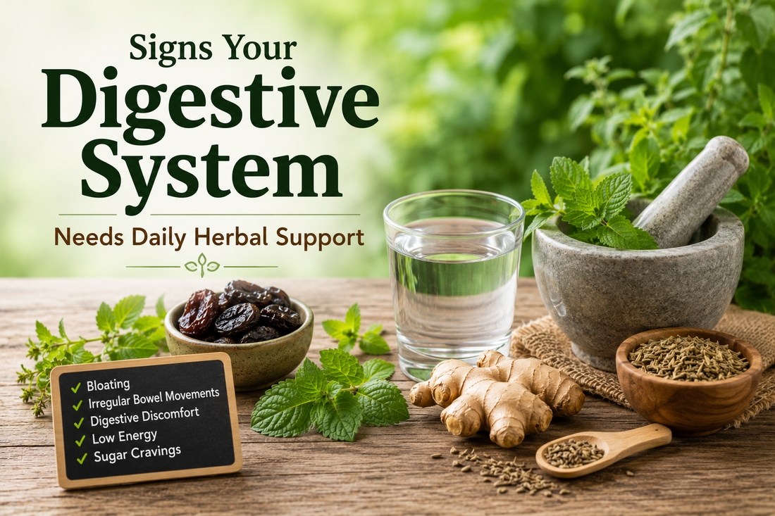 Signs Your Digestive System Needs Daily Herbal Support