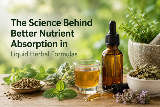 The Science Behind Better Nutrient Absorption in Liquid Herbal Formulas