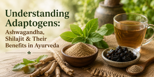 Adaptogens Explained: Ashwagandha, Shilajit & Beyond