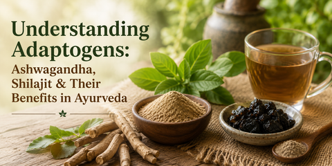Adaptogens Explained: Ashwagandha, Shilajit & Beyond