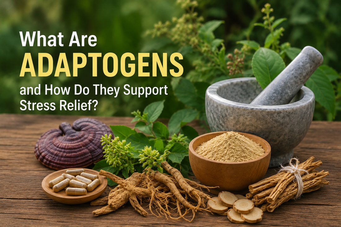 What Are Adaptogens and How Do They Support Stress Relief?