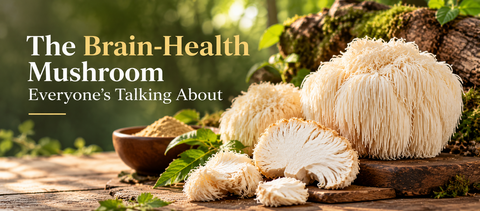 The Brain-Health Mushroom Everyone's Talking About