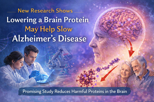 New Research Shows Lowering a Brain Protein May Help Slow Alzheimer’s Disease
