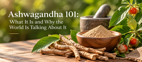 Ashwagandha 101: What It Is and Why the World Is Talking About It