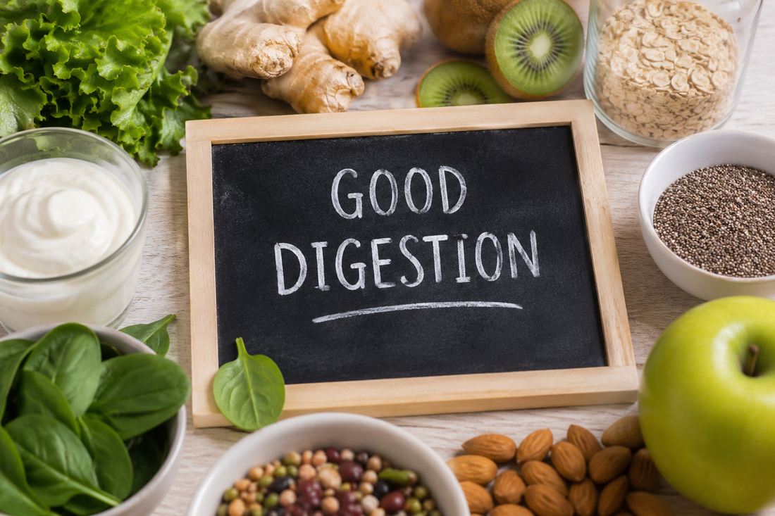 Why Digestion Is the Foundation of Good Health: Signs Your Gut Health Needs Attention