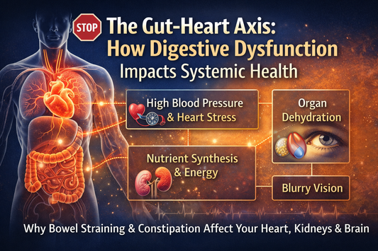 The Gut–Heart Axis: How Digestive Dysfunction Impacts Systemic Health