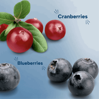 Millet Multigrain Bar Berries (Pack of 6)