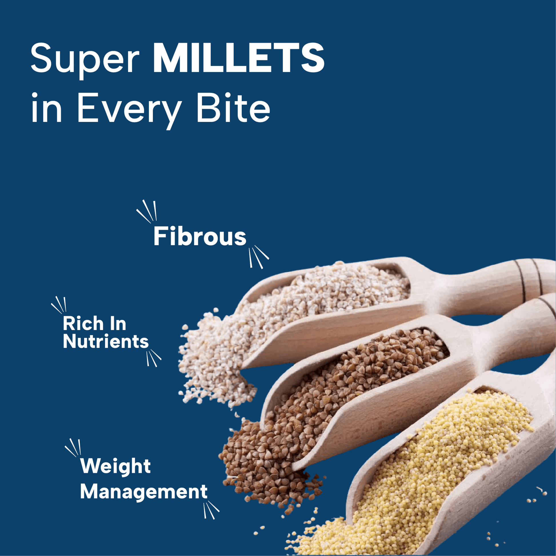 Millet Multigrain Bar Berries (Pack of 6)