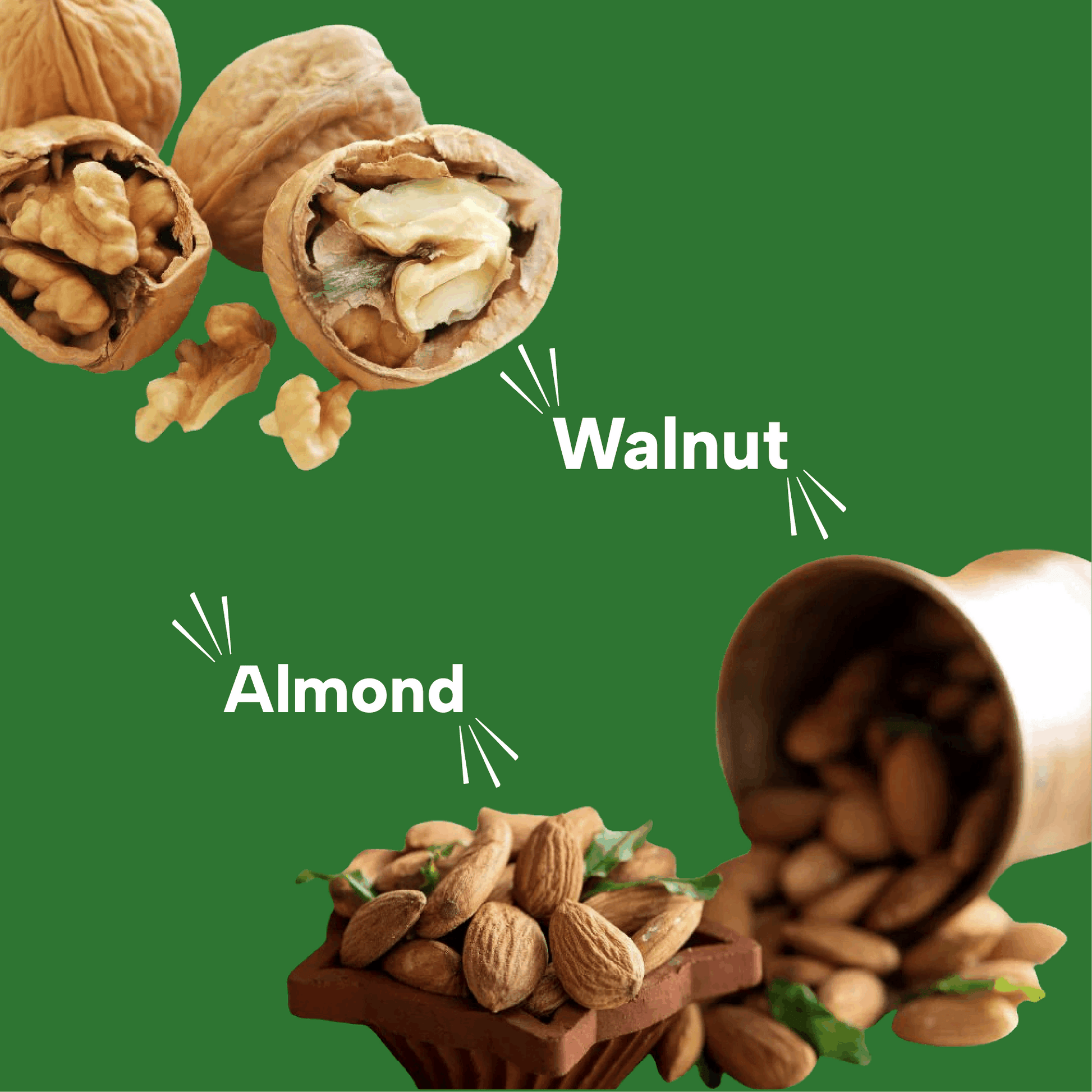 Millet Multigrain Bar Dry Fruits (Pack of 6)